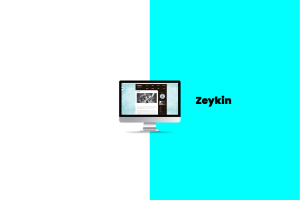 Read more about the article Zeykin